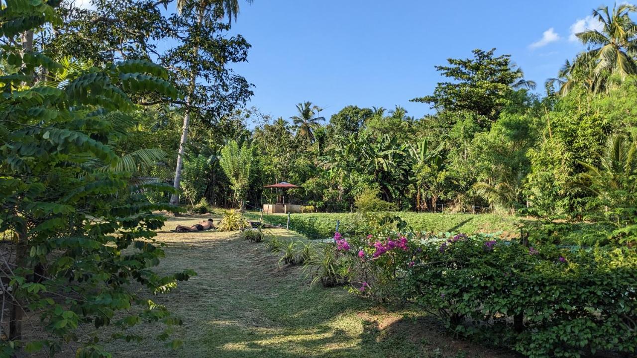 Hotel Avian Garden Udawalawe Exterior foto