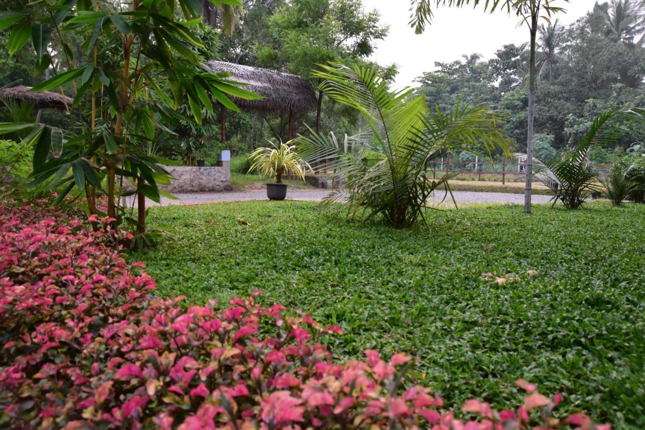 Hotel Avian Garden Udawalawe Exterior foto
