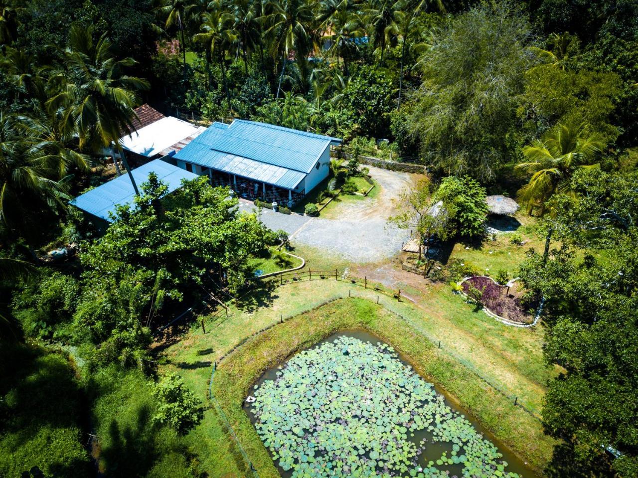 Hotel Avian Garden Udawalawe Exterior foto